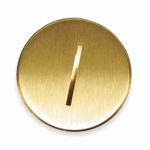 Hubbell Wiring Device-Kellems Box Cover, 1 Gang, Brass, Flush Cover Type S5020