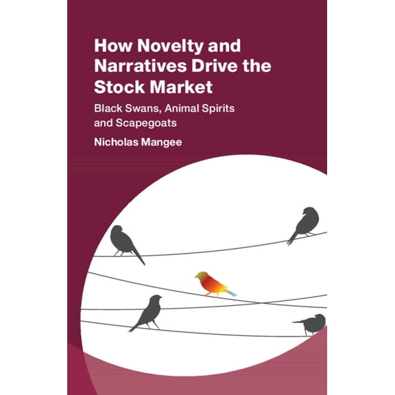 Studies in New Economic Thinking How Novelty and Narratives Drive the Stock Market, (Hardcover)