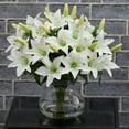 thumbnail image 6 of Nearly Natural 16"H Lily Silk Arrangement with Glass Vase, 6 of 6