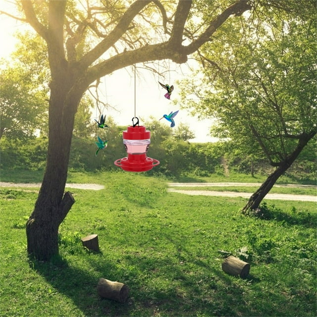 Cqxid Hooks Under $10 Hummingbird Feeder Sucker Plastic Birds Feeder Porch Hummingbird