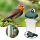 thumbnail image 4 of Comedero Para Pájaros Transparente Comedero Automático Para Pájaros De Plástico Con Ventosas ANGGREK Otros, 4 of 7