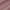 Garnet, variant on Addison Rugs Chantille Indoor/Outdoor Transitional Stripes Garnet Washable Rectangle Rug, 10' x 14'