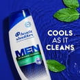 thumbnail image 4 of Head and Shoulders Mens Dandruff Shampoo, Refreshing Menthol, 20.7 oz, 4 of 13