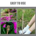 thumbnail image 3 of FOLOYORI 3Ud Antena De Para Cultivo Vegetal Hogar Propicia Fuertes Y Resistentes, 3 of 7