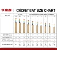 thumbnail image 3 of GLS Hitter Pro Single Blade Full Size Popular Willow Cricket Bat For All Tennis Ball | Latest Shape & Very Light Pick Up, 3 of 4