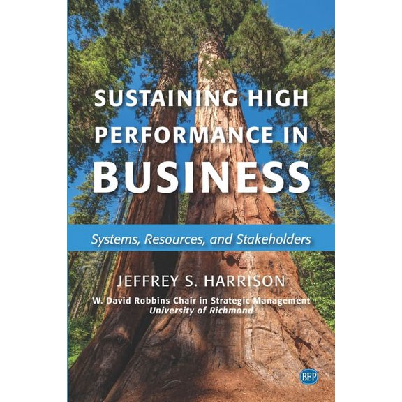 Sustaining High Performance in Business: Systems, Resources, and Stakeholders, (Paperback)
