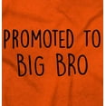 thumbnail image 2 of Promoted to Big Brother Announcement Bodysuit Jumper Boys Infant Baby Brisco Brands 12M, 2 of 7