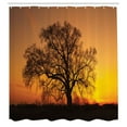 thumbnail image 3 of Ambesonne Tree Shower Curtain, Old Oak at Sunset View, 69"Wx84"L, Orange Brown, 3 of 5