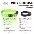 thumbnail image 3 of PcEoTllar Flashing LED Dog Collar - Waterproof Rechargeable for Night Walking Light up Adjustable Safety Dog Collar for Small Dogs (Green), 3 of 10