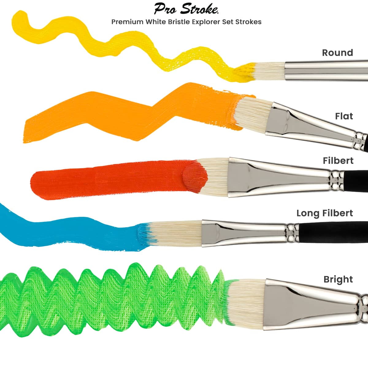 Creative Mark Pro Stroke Premium White Chungking Hog Bristle Artist Paint Brush -Filbert # 20 - 2 Pack -Natural Bristle Brush w/ Great Control Suitable for Oils, Watercolors, Acrylics, Alkyds, Caseins