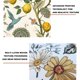 thumbnail image 3 of Papel pintado a rayas, hojas de eucalipto verde/blanco, mural de flores, decoración Bohemia para el hogar y la guardería, 3 of 5