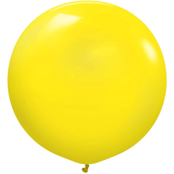 24 inch Kalisan Standard Yellow Latex Balloons (2 Pack) - Party Supplies Decorations