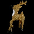 thumbnail image 7 of Northlight Pre-Lit Prancing Reindeer with Spots Outdoor Christmas Decoration - Brown, 7 of 7