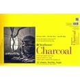 thumbnail image 3 of Strathmore 300 Series Charcoal Paper Pads 11 In. X 17 In. 32 Sheets [Pack Of 2] 50475-PK2, 3 of 3