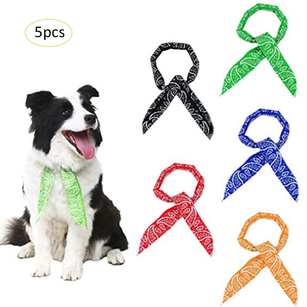 with Filters Earhook Neck Gaiter Face Scarf Headwear Bandana Border Collie Dog 2
