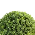 thumbnail image 2 of Northlight 27" Boxwood Artificial Plant Potted in Ceramic Pot - Green/White, 2 of 4