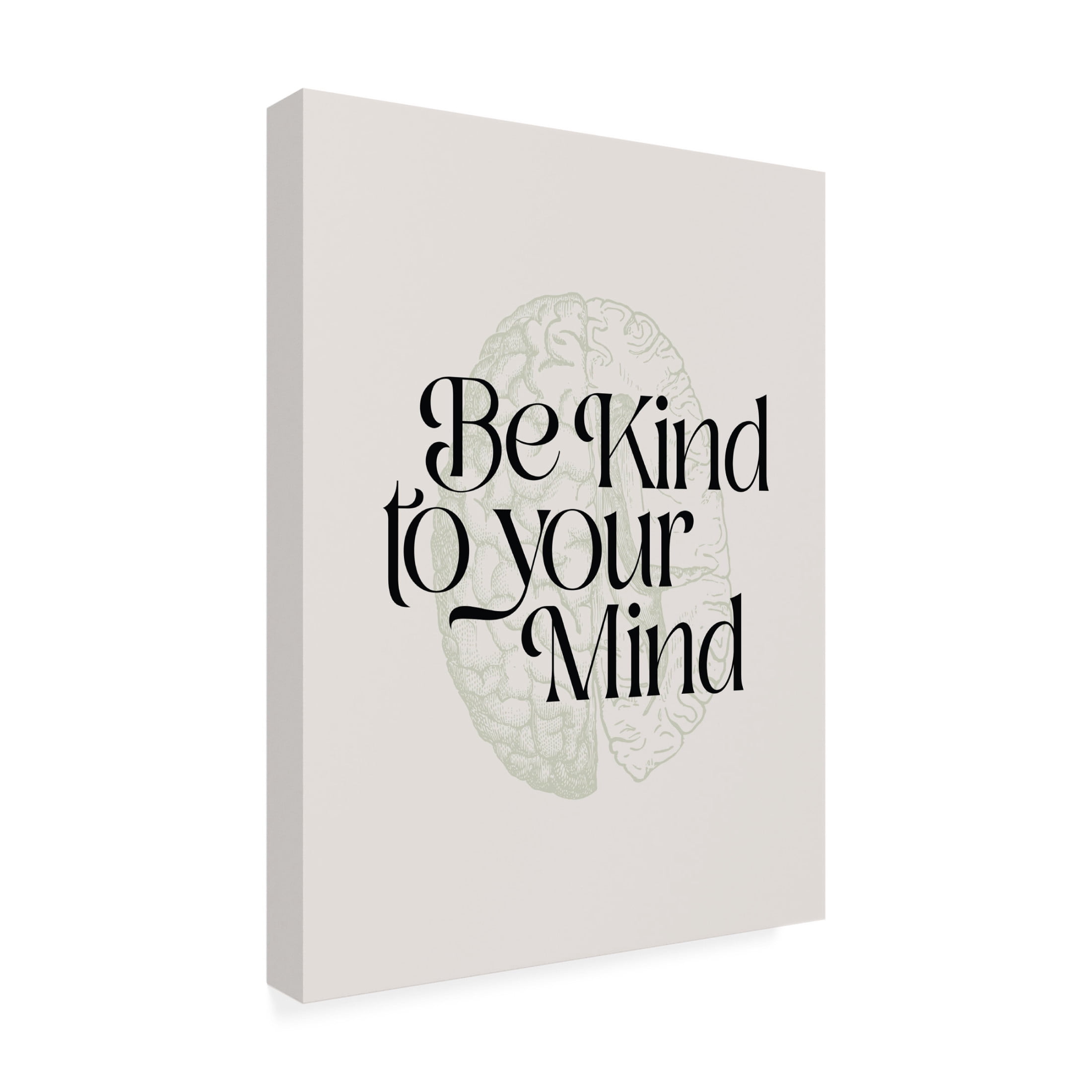 Trademark Fine Art Beth Cai Be Kind To Your Mind No2 Canvas Wall Art