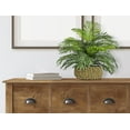 thumbnail image 3 of Artificial Plants, 14" Artificial Palm Plant in Low Round Handwoven Basket by LCG Florals, Faux Designer Fake Indoor Tabletop Plant for Living Room, Office, and Home Décor, 3 of 10