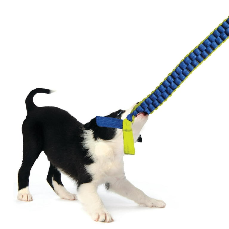 25 Amazing Indestructible Dog Toys & Activities For Your