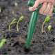 thumbnail image 3 of 2025 Set of 4 Mini Gardening Tools for Plants onions and Garden Plants hk, 3 of 5