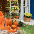 thumbnail image 5 of Fall Pumpkin Decor Set of 7 - Harvest Pumpkins for Thanksgiving, Halloween & Autumn - Indoor/Outdoor Farmhouse Decorations in Various Sizes - Durable Foam Material, 5 of 6