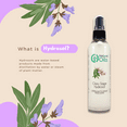 thumbnail image 3 of Clary Sage Hydrosol - 8 fl oz - Clear Plastic Bottle w/ Black Spray Cap - GreenHealth, 3 of 6