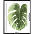 thumbnail image 5 of Art.com Palm Green I Art Print by PI Studio, Black Frame Wall Art, 23" x 29", 5 of 5