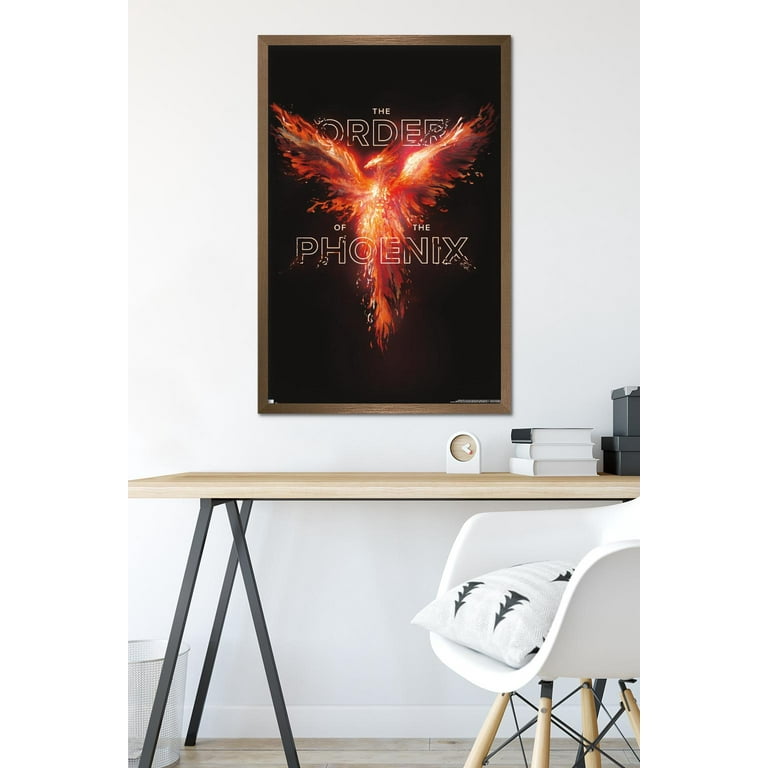 Harry Potter and the Order of the Phoenix - One Sheet Wall Poster, 22.375  x 34 