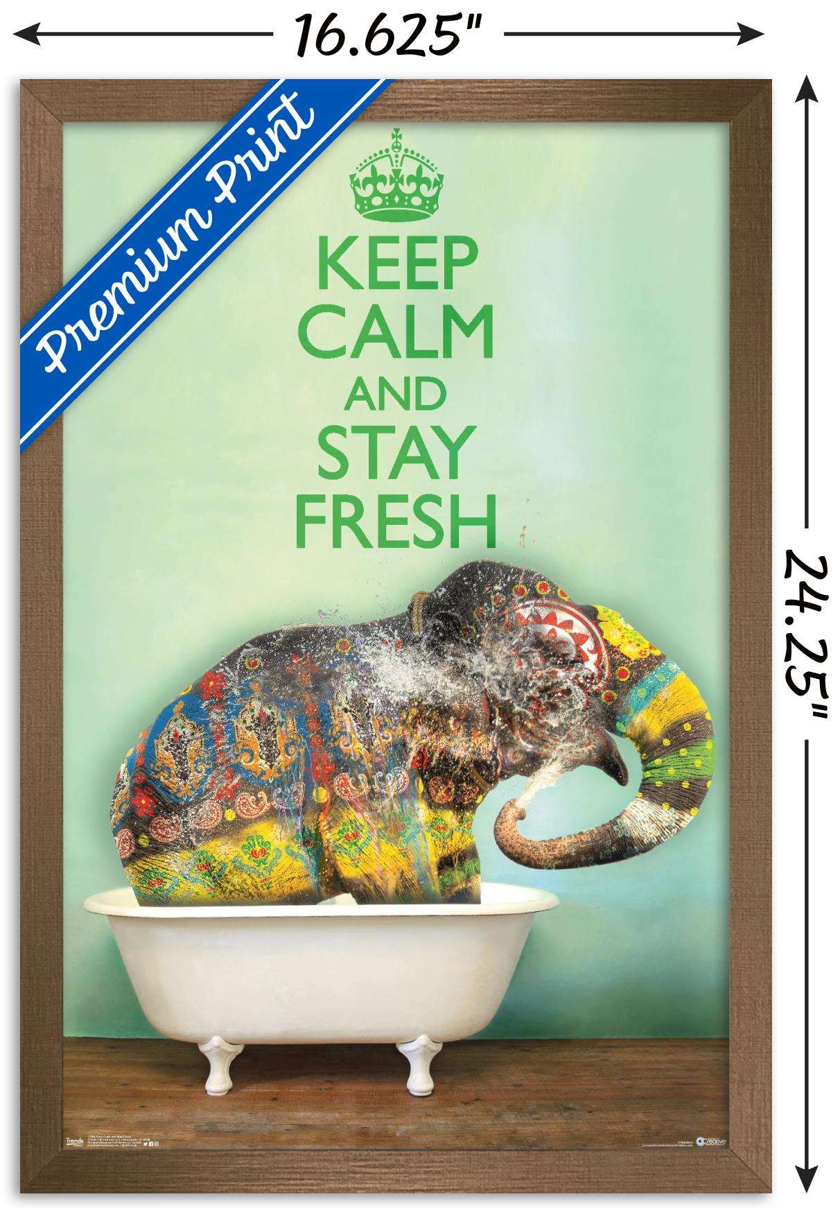 Keep Calm And Stay Fresh Wall Poster, 14.725" x 22.375", Framed