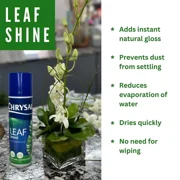 Pokon Chrysal Leaf-Shine 6 oz Spray