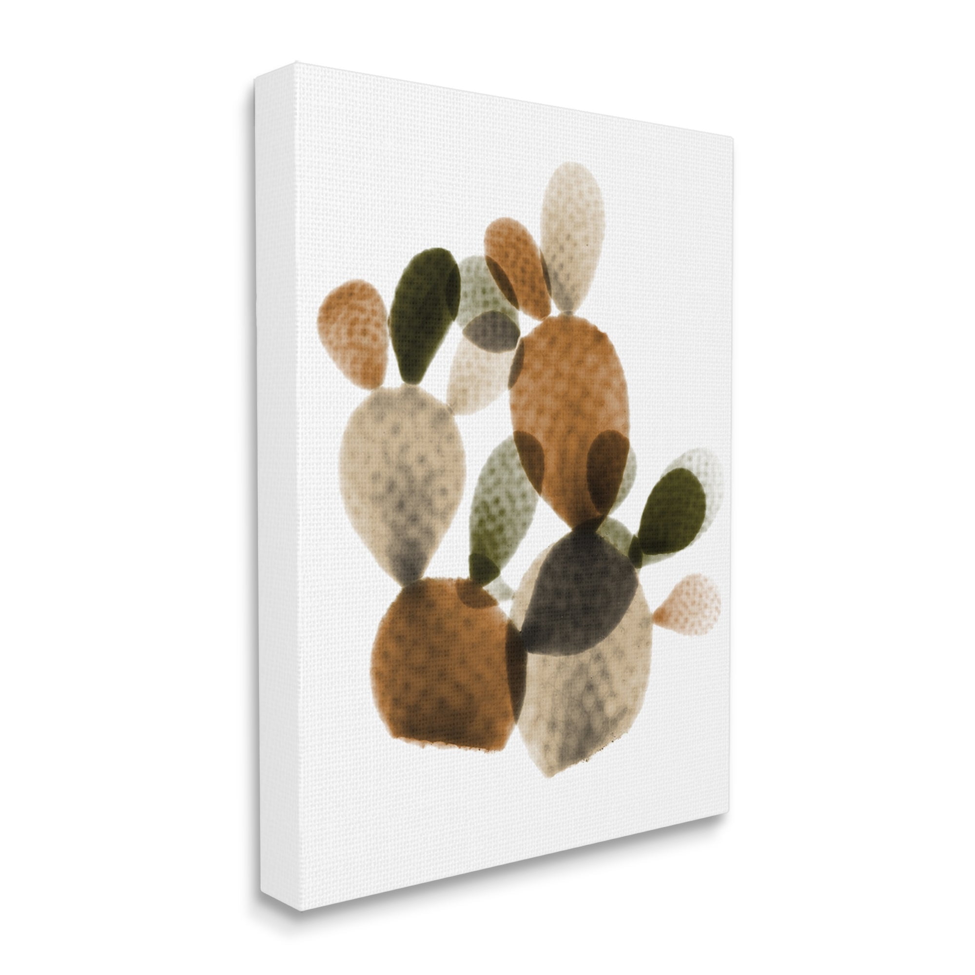Stupell Industries Prickly Pear Cactus Plants Layered Green Brown Succulents, 36 x 48,Design by Albert Koetsier