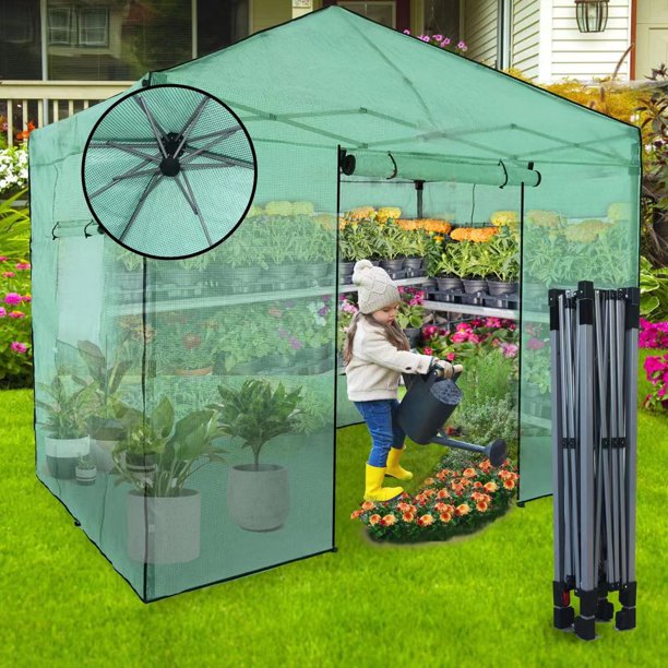EzyFast 10' x 6.5' Portable Pop up Walkin Plant Gardening Greenhouse
