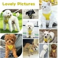 thumbnail image 4 of Soft Small Dog Harness and Leash Set Mesh Puppy Harnesses Leash Easy Walk Dog Harness Vest Adjustable Reflective No Pull Dog Harnesses for Small Dogs Cats, 4 of 7