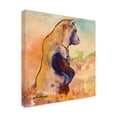 thumbnail image 2 of Trademark Fine Art 'Natural Power Copy' Canvas Art by Pat Saunders-White, 2 of 3