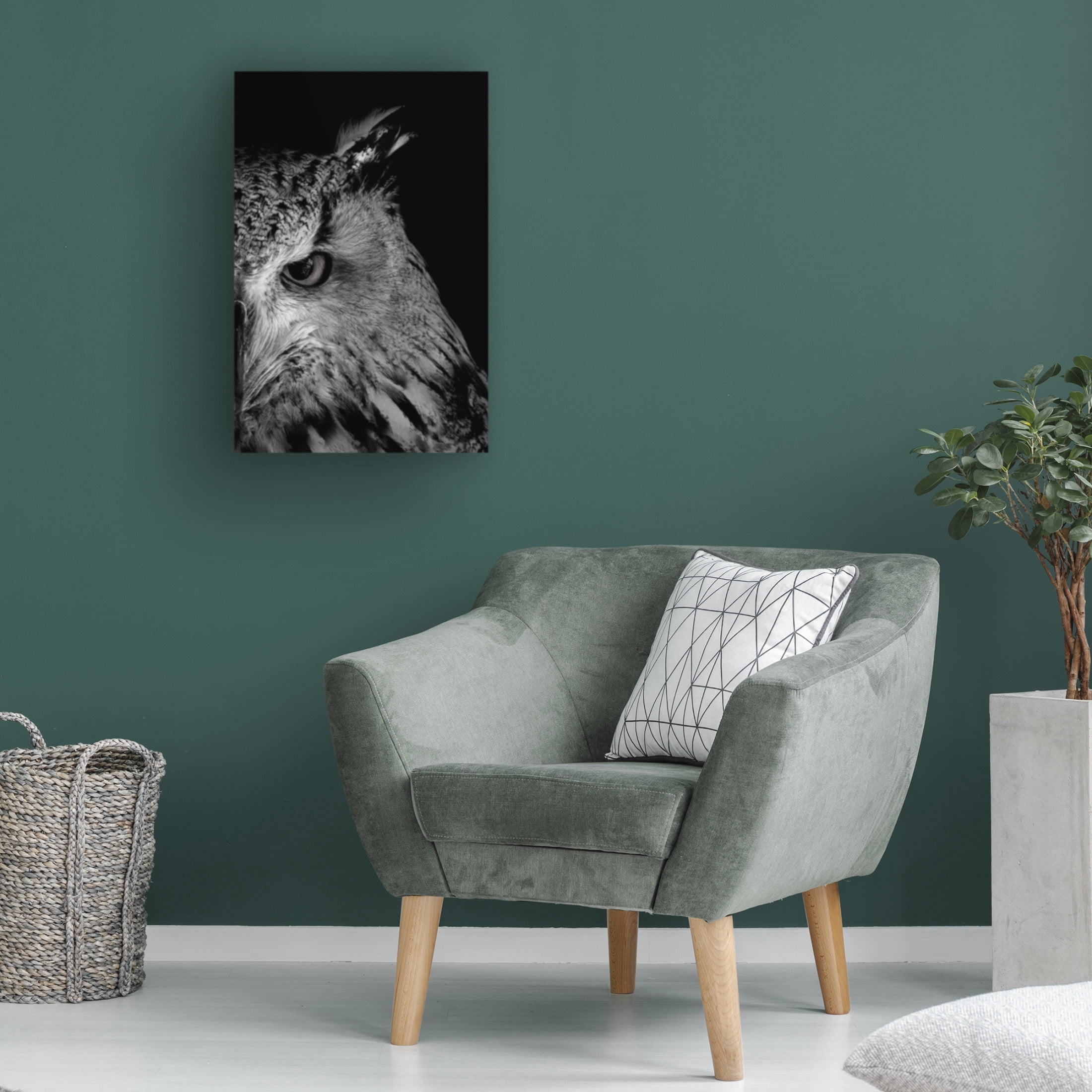 Trademark Fine Art Makihiko Hayama glint in eye Canvas Wall Art