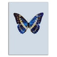 thumbnail image 3 of 14" x 19" Blue Butterfly by Incado - Wall Art Print on Canvas Fabric White, 3 of 3