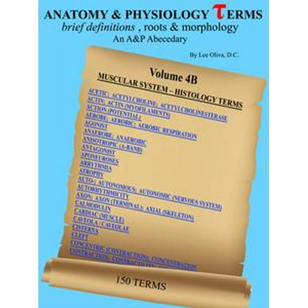Anatomy and Physiology Terms: Brief Definitions, Roots & Morphology; An Abecedary; Vol 4B Muscular System - Histology Terms - (Best Way To Study Histology)