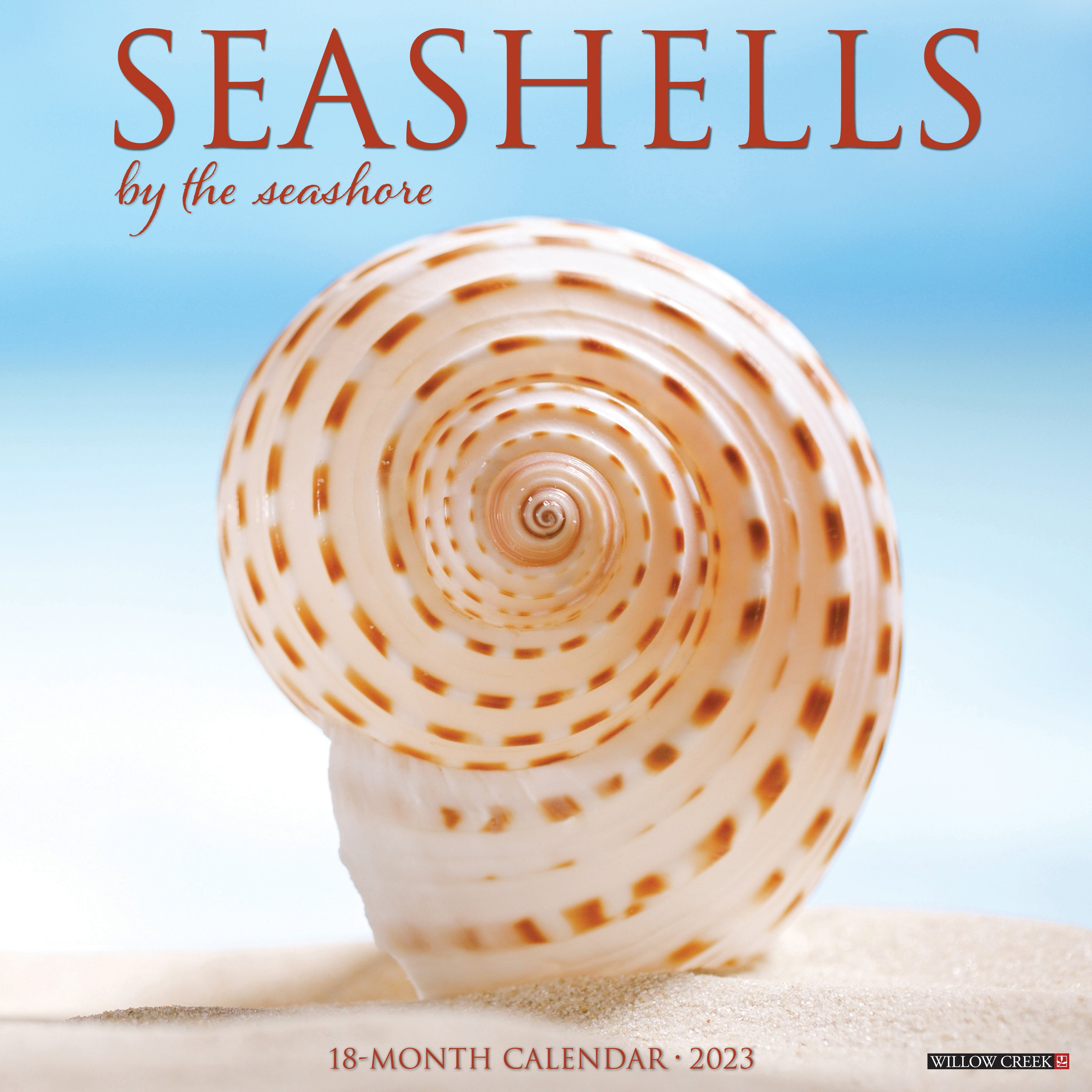 Seashells 2023 Wall Calendar