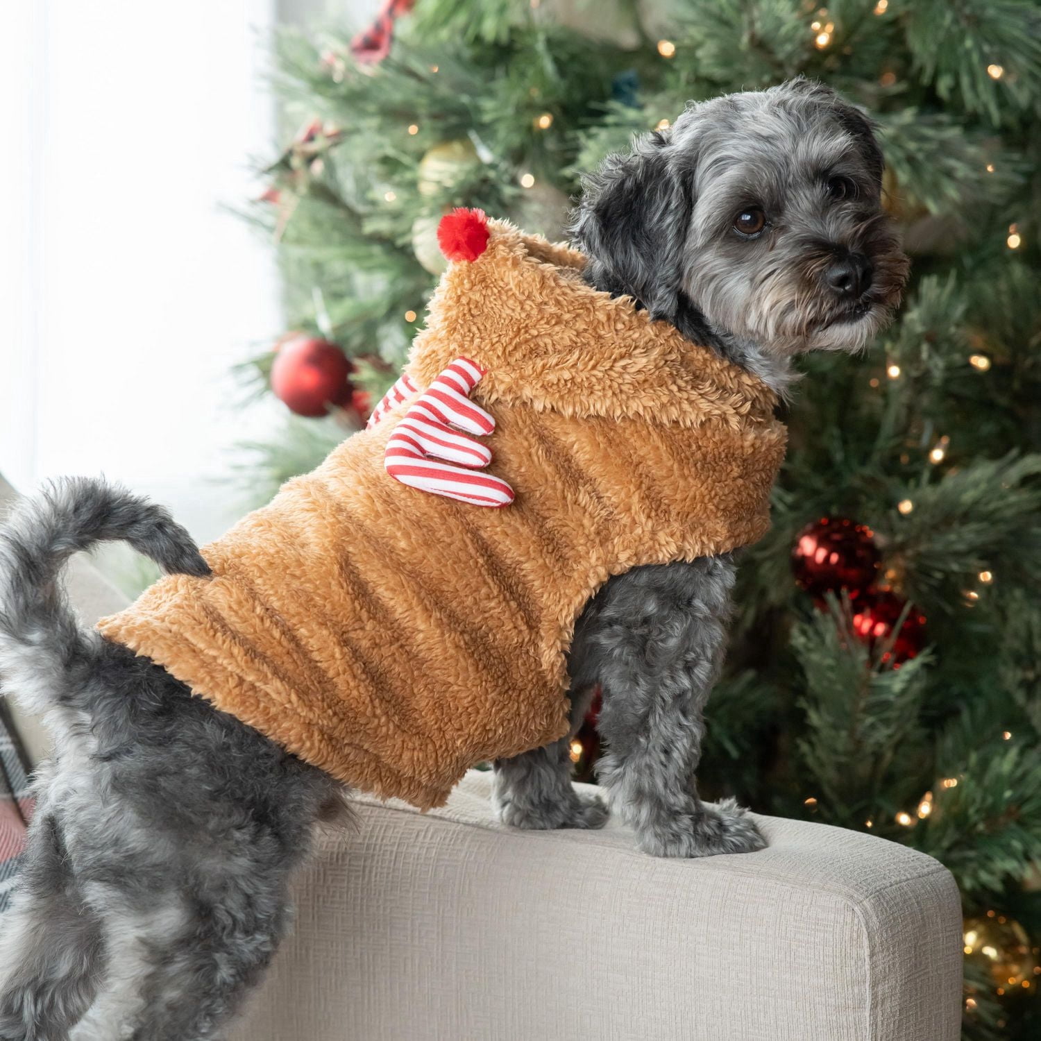 Vibrant Life Holiday Tan Deer Pet Hoodie - Dog and Cat Hoodie
