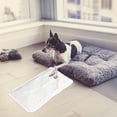 thumbnail image 4 of Phenofice Small Animal Heat Pad Pet Winter Pad USB Heating for Pet Owners 1Set, 4 of 7