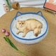 thumbnail image 4 of Mom's Best Cama refrescante de cuerda de algodón para gatos y perros, transpirable y refrescante, 40 x 14 cm, azul y blanco, 4 of 6