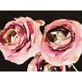 thumbnail image 2 of Navas, Emily 18x15 White Modern Wood Framed Museum Art Print Titled - Dark Roses, 2 of 4