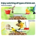 thumbnail image 2 of Soliom Bird Feeder with Camera, AI Species Identification, 2K Live View, Instant Alerts, 5W Solar Panel, Squirrel-Proof Metal Outdoor Bird Feeder, Bird Watching Gift Set, 2 of 10