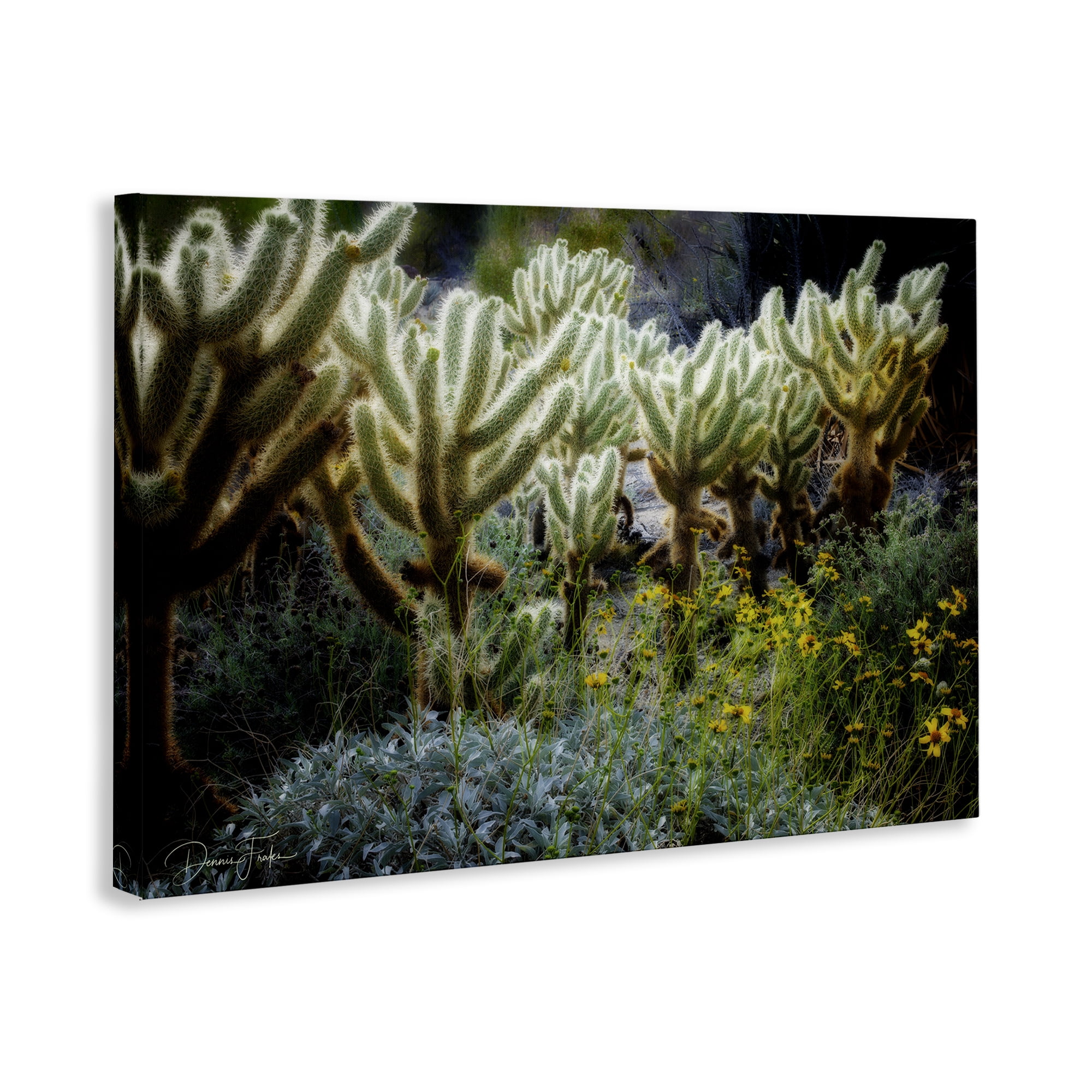 Stupell Industries Desert Cactus Forest Landscape Photography Gallery Wrapped Canvas Art Print Wall Art, 24 x 16