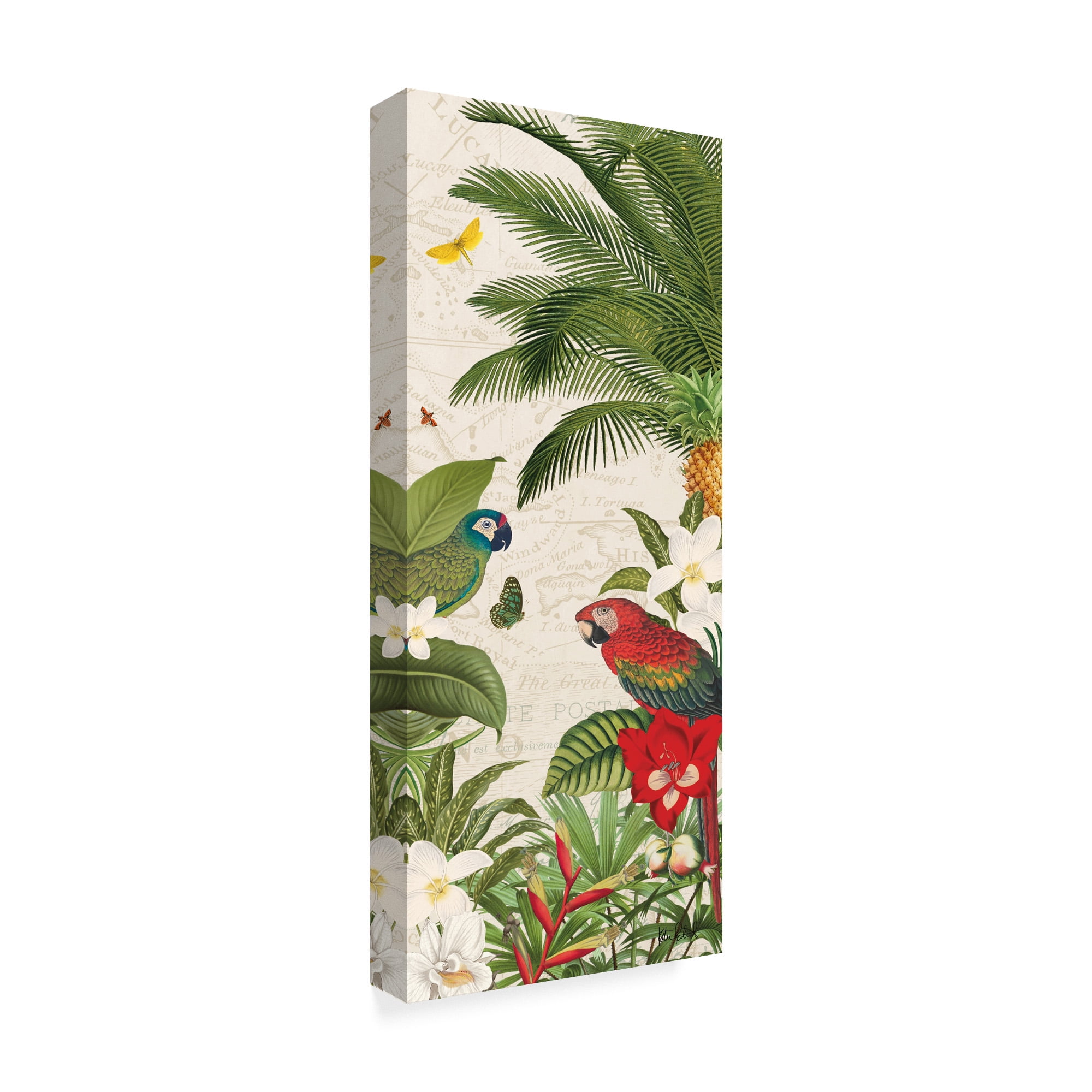 Trademark Fine Art 'Parrot Paradise VII' Canvas Art by Katie Pertiet