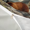 thumbnail image 3 of Castle Fairy Fishing Brown Bear Duvet Cover Queen,Waterfall Pine Mountain Salmon Queen Bedding,Brown Teal White,Grey Reversible,3-Piece,No Comforter,1 Duvet Cover and 2 Pillowcases, 3 of 5