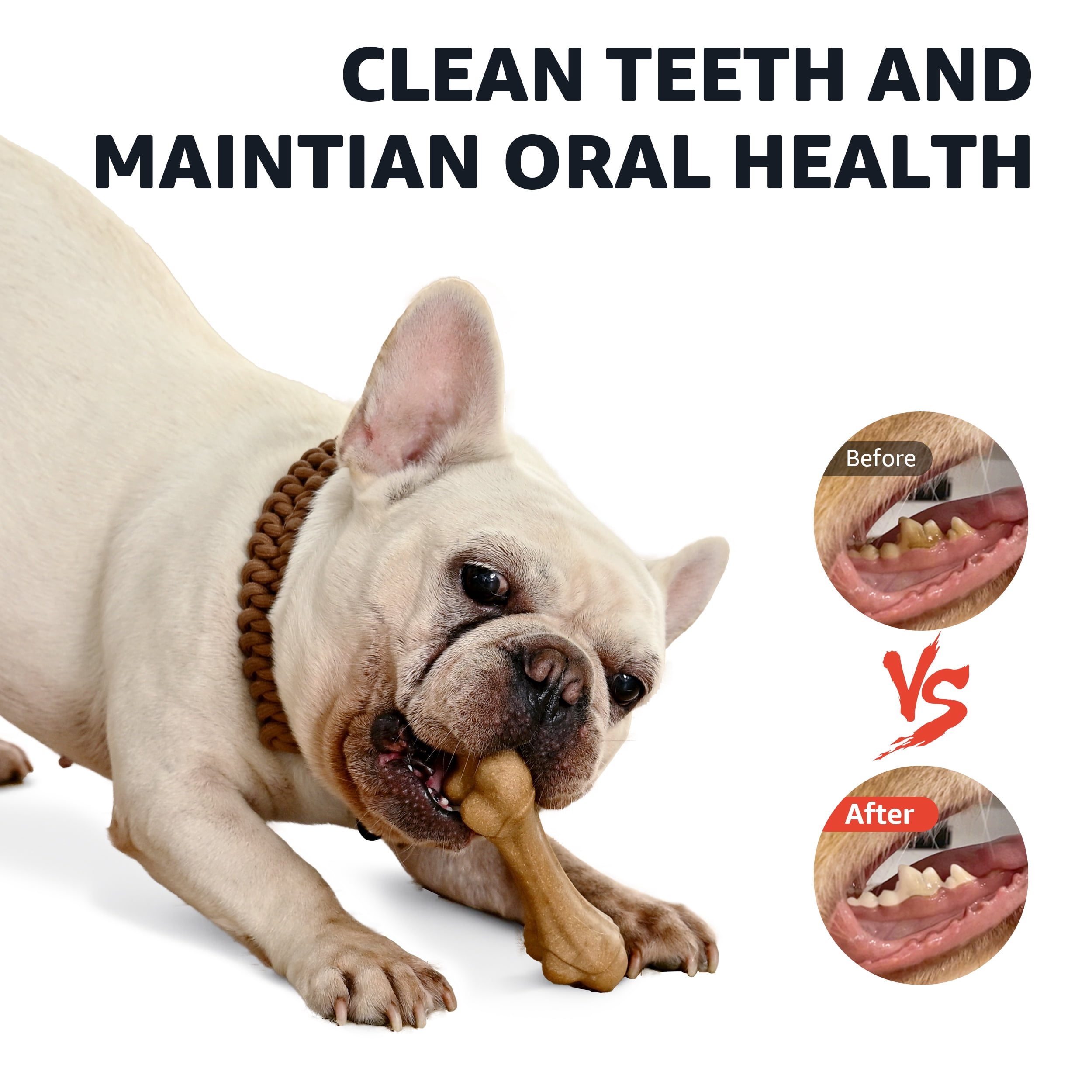 Max & Marlow Durable Dog Chew Toys Set, PP Wood Powder Toys for Aggressive Puppy Chewers, 3 Pack