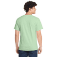 thumbnail image 2 of Wire Delight Men’s Full Cotton Round Neck Short Sleeve T-Shirt, Soft Everyday Tee, Mint Green, L, 2 of 5