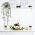 thumbnail image 4 of 1 Pieza Planta Colgante Artificial Planta Colgante de Eucalipto en Maceta Falsa para Pared, HabitacióN, Hogar, Patio, DecoracióN Interior y Exterior, 4 of 5