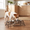 thumbnail image 3 of Vibrant Life Small 1.5-Cup Elevated Pet Double Diner, Silver, 3 of 9